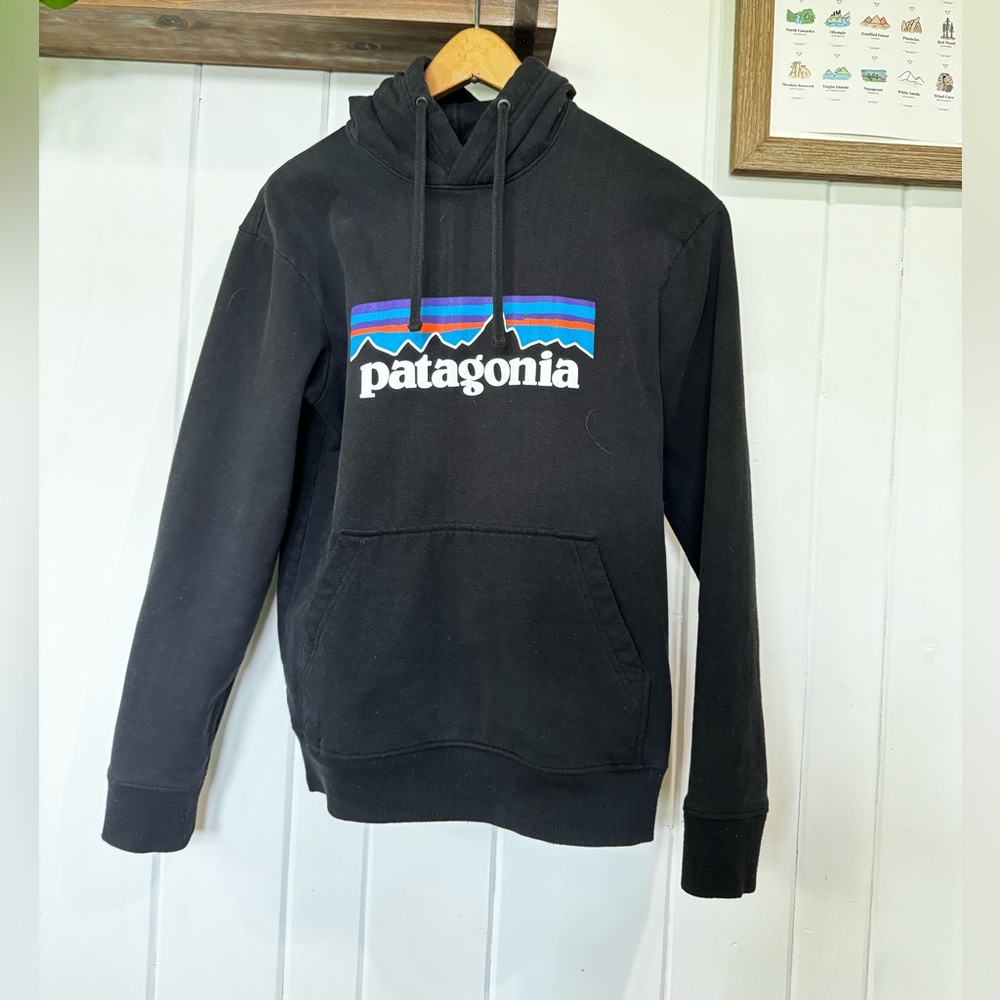 Patagonia Hoodie